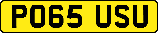 PO65USU