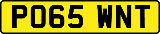 PO65WNT