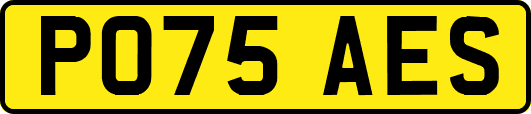 PO75AES