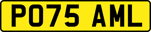 PO75AML