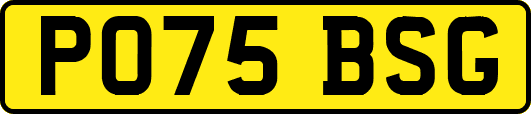 PO75BSG