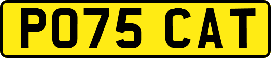 PO75CAT