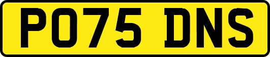 PO75DNS