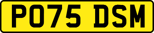 PO75DSM