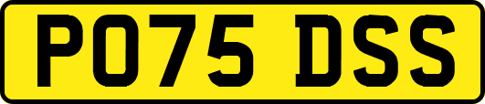 PO75DSS