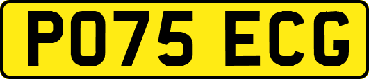 PO75ECG
