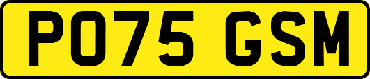 PO75GSM