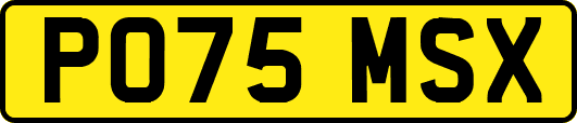 PO75MSX