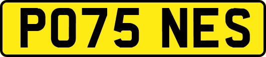 PO75NES