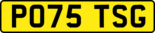 PO75TSG