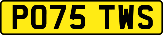 PO75TWS