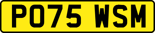 PO75WSM