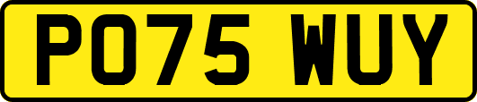 PO75WUY