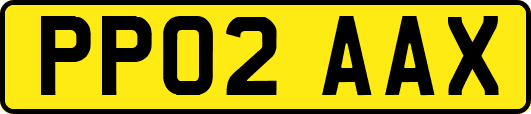 PP02AAX