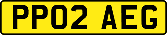 PP02AEG