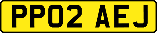 PP02AEJ