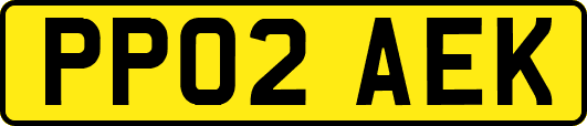 PP02AEK