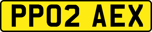 PP02AEX
