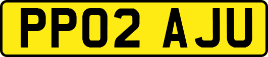 PP02AJU