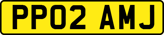 PP02AMJ