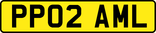 PP02AML