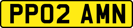 PP02AMN