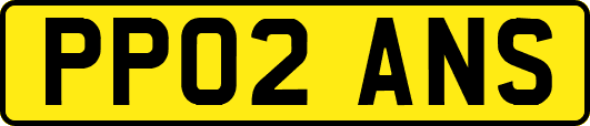 PP02ANS