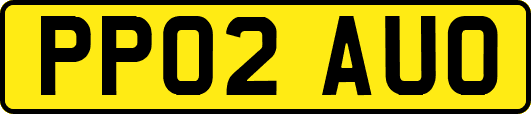 PP02AUO