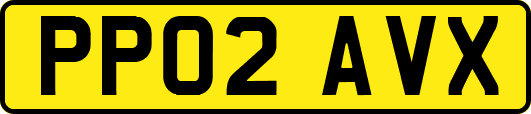 PP02AVX