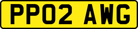 PP02AWG
