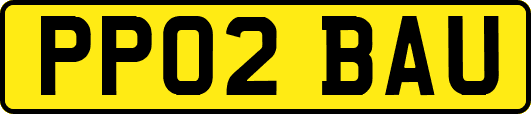 PP02BAU