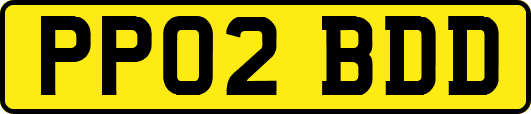 PP02BDD