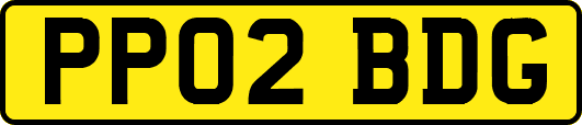 PP02BDG