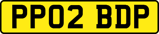 PP02BDP