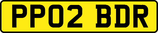 PP02BDR