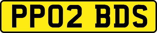 PP02BDS