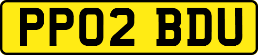 PP02BDU