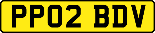 PP02BDV