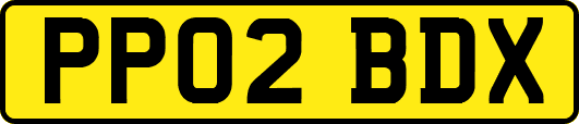 PP02BDX
