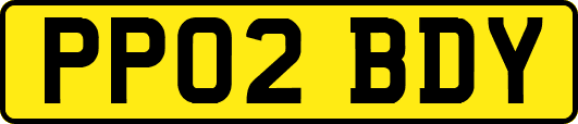 PP02BDY
