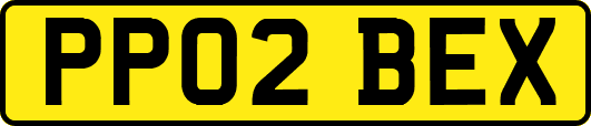 PP02BEX