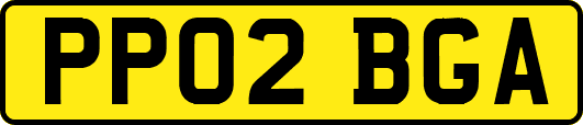 PP02BGA