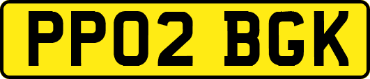 PP02BGK