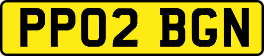 PP02BGN