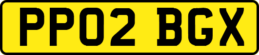 PP02BGX