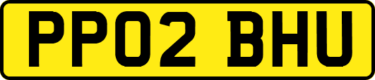 PP02BHU