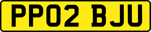 PP02BJU