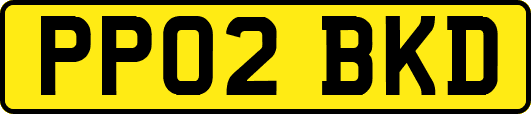 PP02BKD