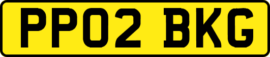 PP02BKG