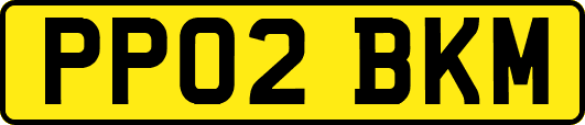 PP02BKM